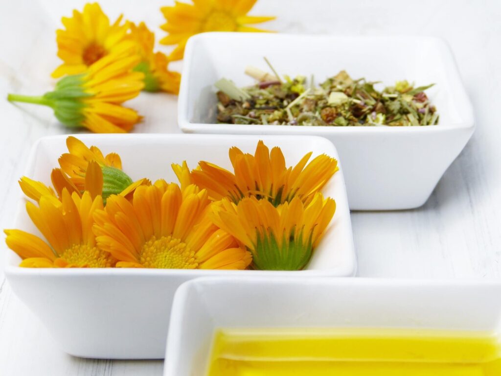 Ringelblume Öl Verarbeitung