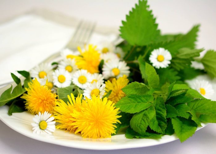 essbare Wildpflanzen auf dem Teller
